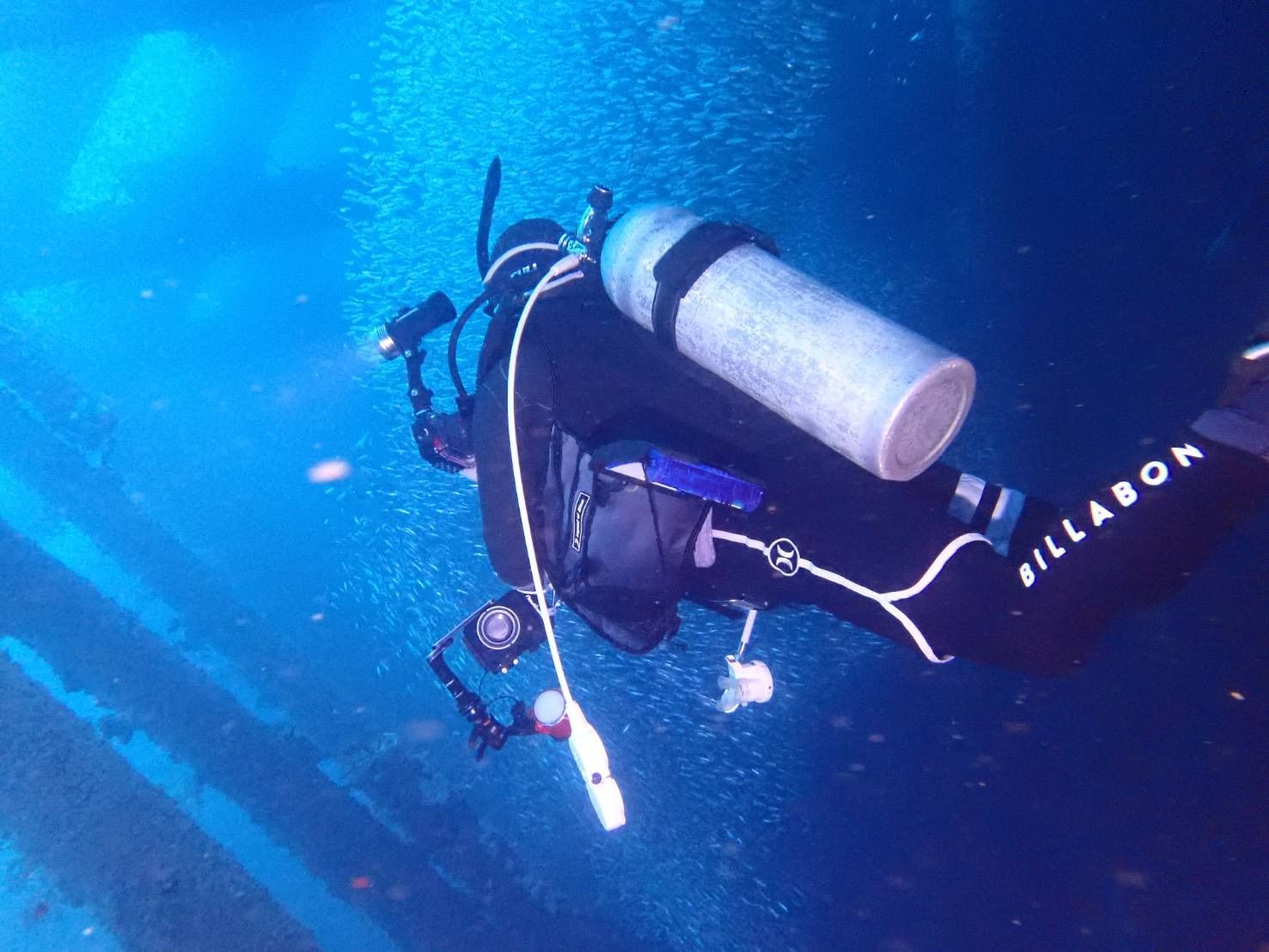 魚群を撮影するKAORIの水中での後ろ姿