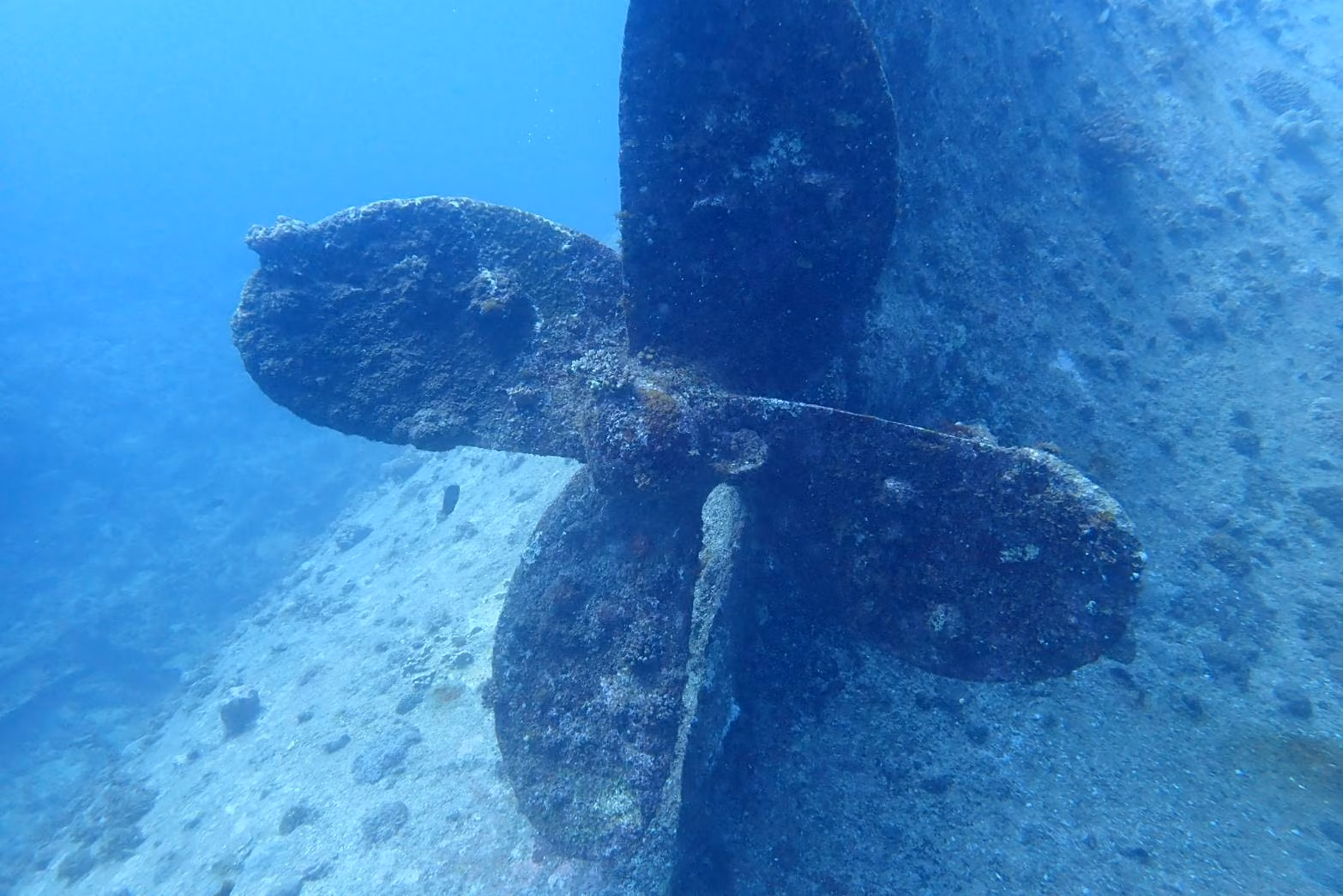 宜野湾近海の海底に逆さで沈むマチナト丸の大きなスクリューと船体