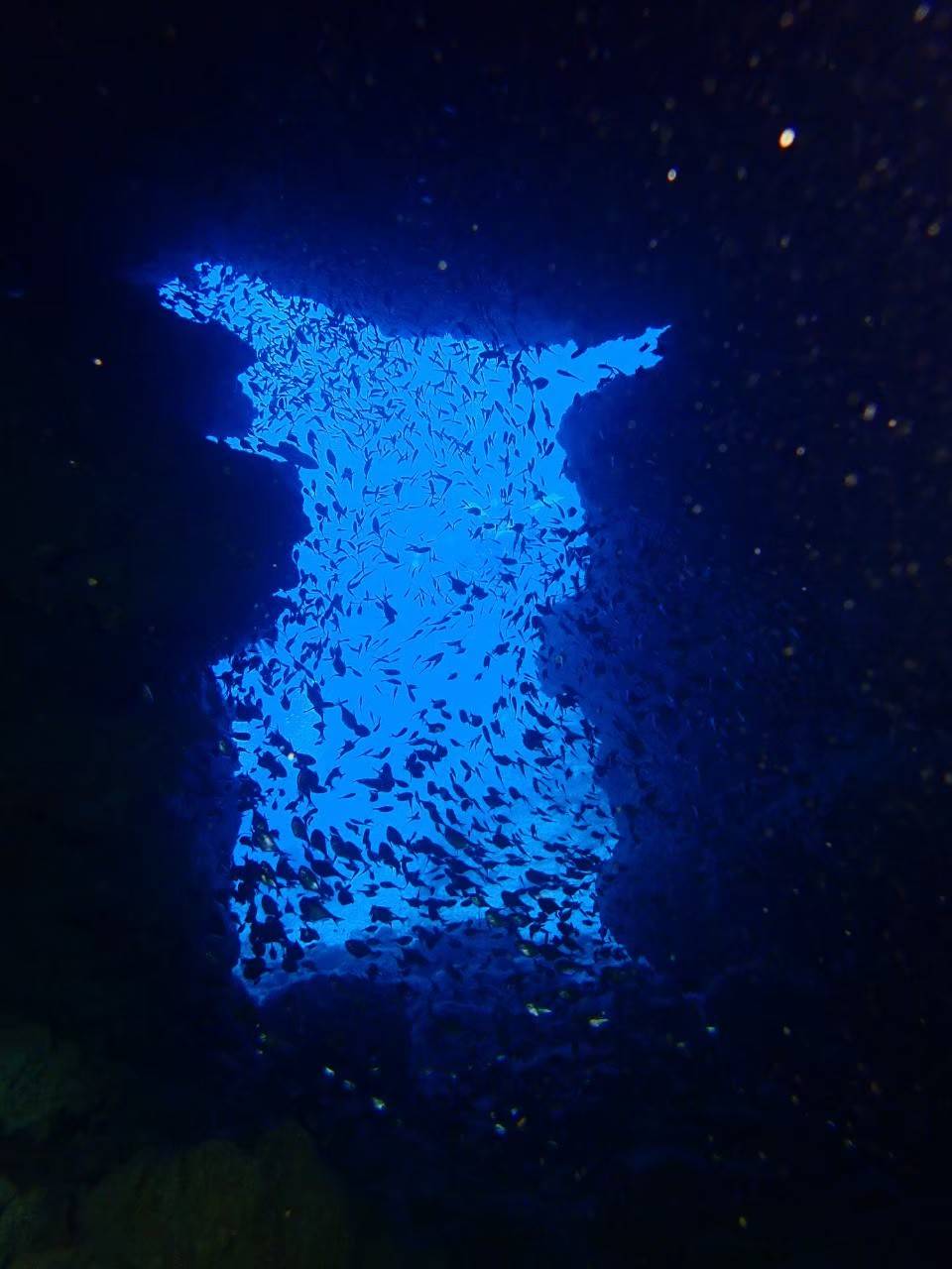万座沖のドロップオフと青い海